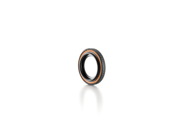 DJI Osmo Nano Linsenschutz (Glas)